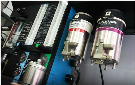 臺北國際整形外科診所