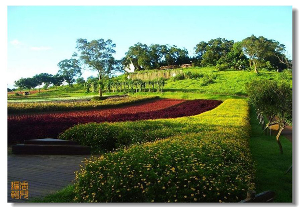 臺灣大溪花海農場