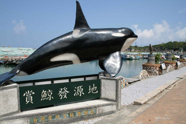 賞鯨發源地石梯漁港