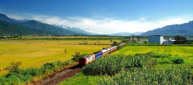 遠眺花蓮富里鄉農會
