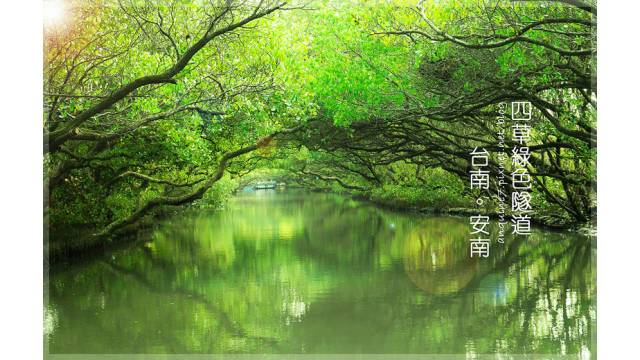 四草綠色隧道